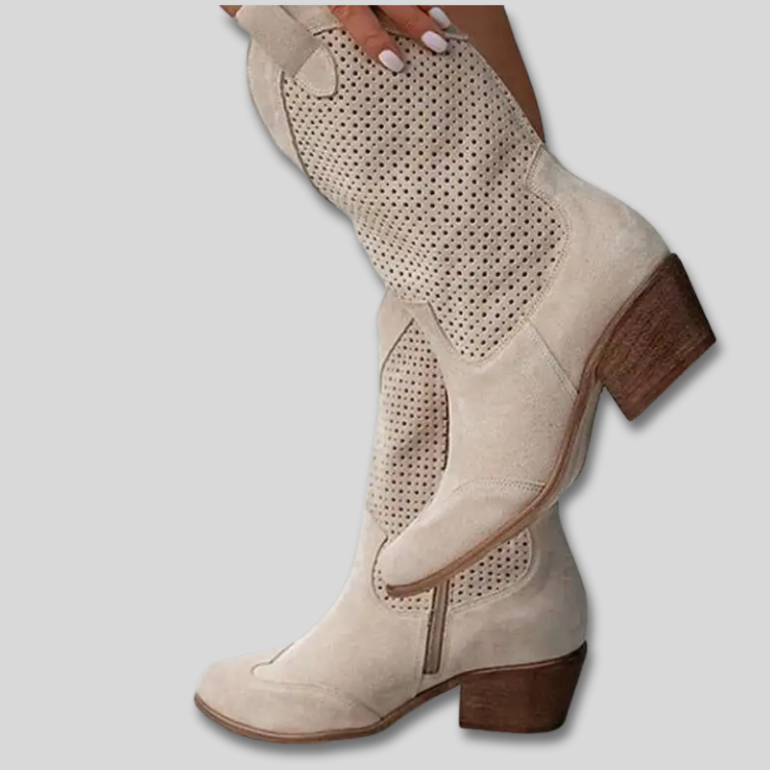 Rhiannon pointed ankle boots for women